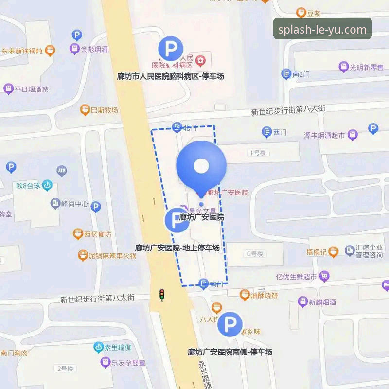 乐鱼体育官网登录完整指南：从注册到使用的深度解析