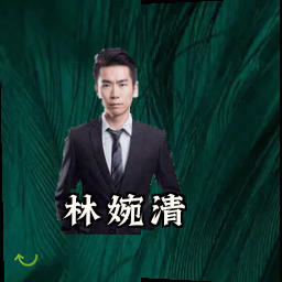 林婉清